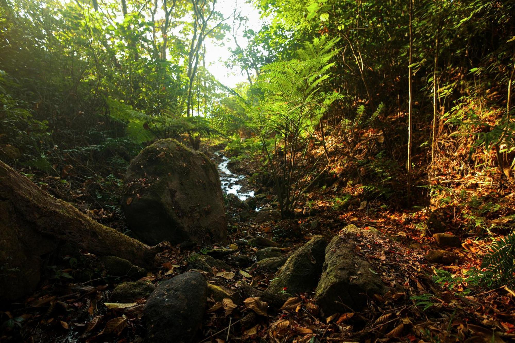 مونار منتجع Nature Zone Jungle المظهر الخارجي الصورة